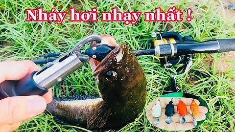 Nhái Hơi Câu Cá Lóc, Lure Cá Lóc Bằng Nhái Hơi, Nhái Hơi F35 .Nhái Hơi Nhạy Nhất | Đại Ngáo Vlog #4