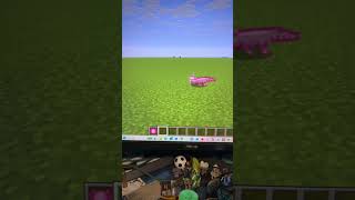 He isn’t angry?!?! #minecraft #popular #viral #memes #gaming #axolotl #lizard