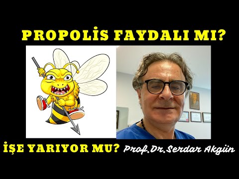 Propolis nedir ? Faydaları nelerdir. Yararlı mı? Propolisin faydaları, Prof.Dr.Serdar Akgün