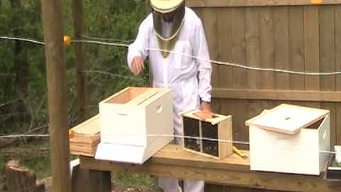 Install Bee Package Video 1