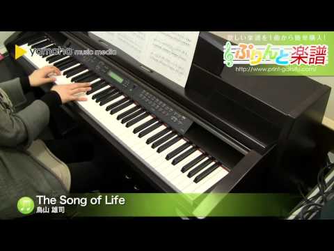 The Song of Life 鳥山 雄司