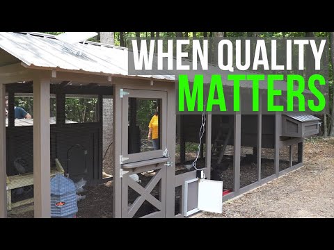 The BEST of the Chicken Coop World!