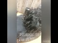 A PIECE OF MINT™  HAIR CARE PRODUCTS