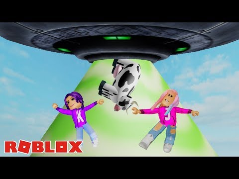 THE WACKY AND CRAZY ADVENTURE OBBY! 🤪 / Roblox