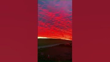 Thiên nhiên tươi đẹp