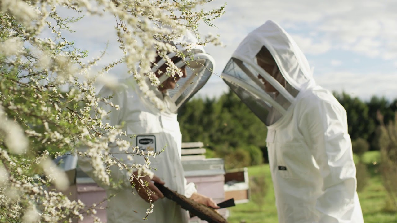 Comvita Beekeeping and Stewardship