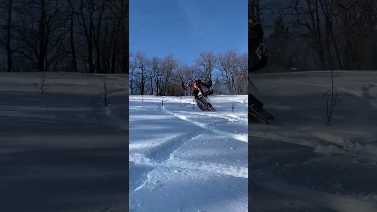 Polaris Timbersled ARO 120 LE