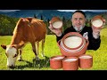 Farm To Table 🐄 How To Make The Best Homemade Yogurt❗ subtitled recipe