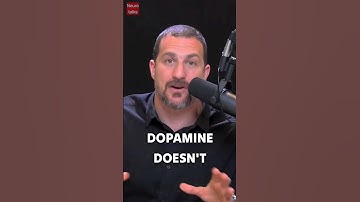 Dopamine vs pleasure| Andrew Huberman #dopamine #motivation #ytshorts