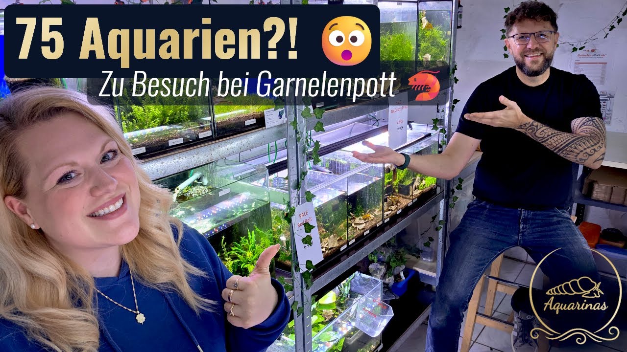 75 Aquarien?! 😯 Die riesige Garnelenzuchtanlage bei Garnelenpott 🦐