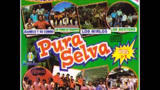 PURA SELVA ♫ - Cumbia Amazónica (2001) -DISCO COMPLETO-