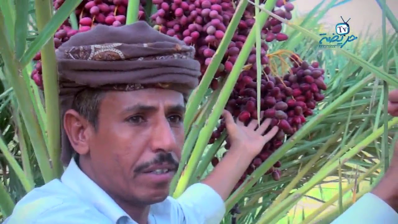 ميدان حريضـ1ــه 1438 هـ الحلقه الثامنة | موسم الخريف |