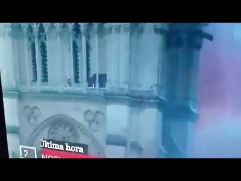 Furcsa jelenetek a Notre-Dame -ban | Vadhajtások.hu