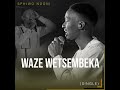 Waze Wetsembeka by Sphiwo Ndoni