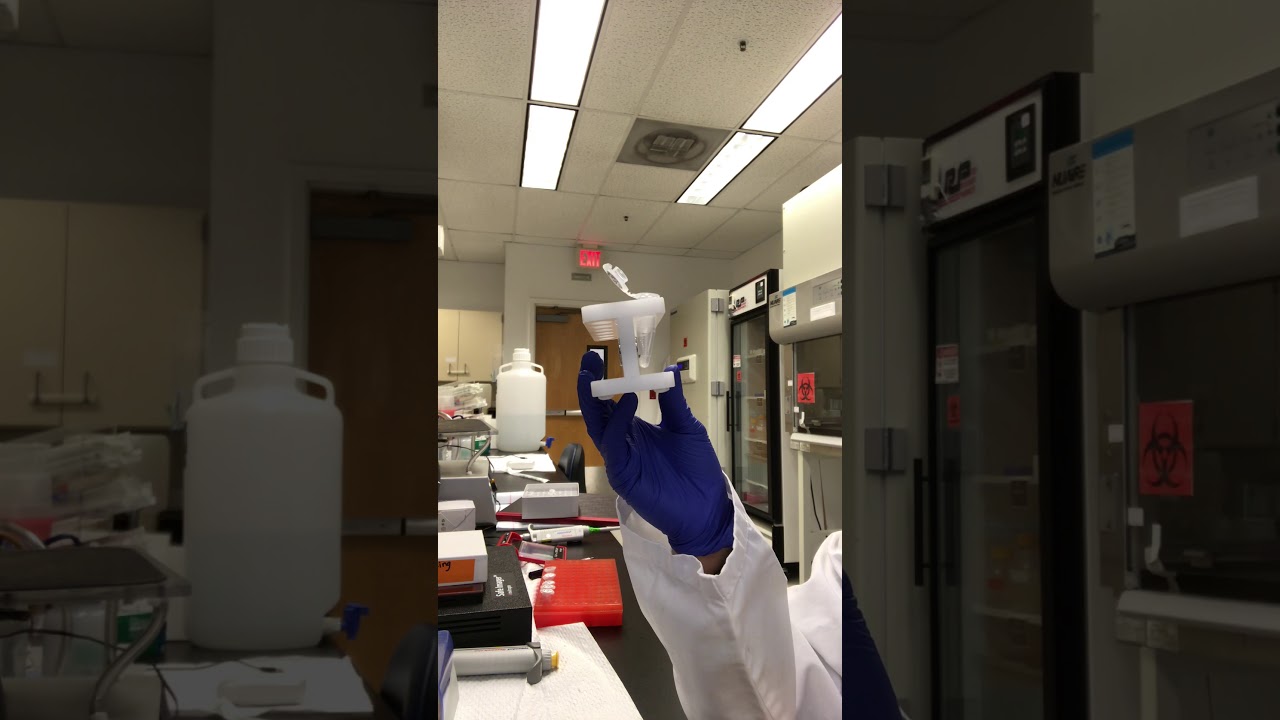 Ampure XP bead clean-up