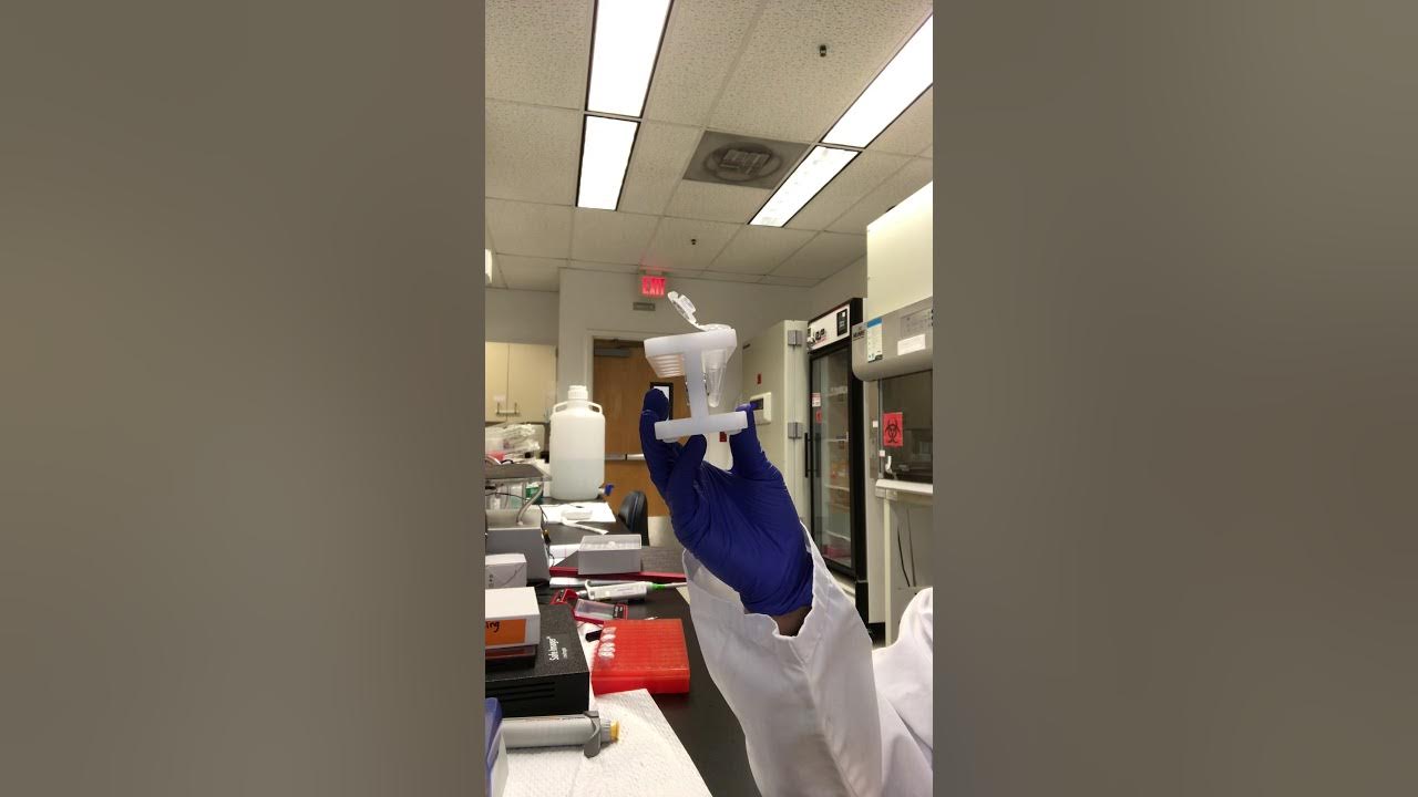 Ampure XP bead cleanup YouTube