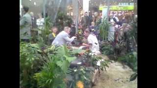 Frühlingsstart Volme Galerie.wmv