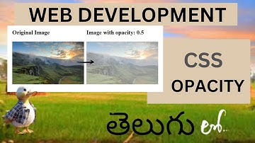 Web Development CSS OPACITY Detail Explanation in Telugu ( Lesson - 17 )