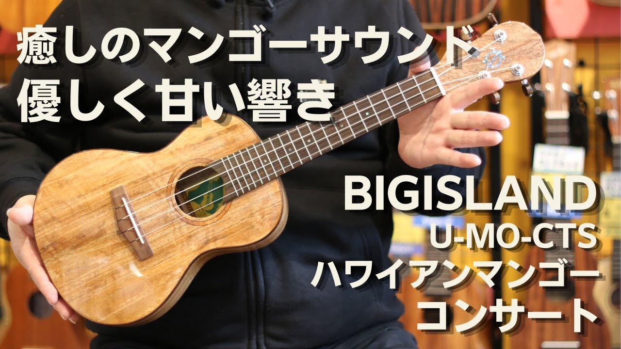 【癒しのマンゴーサウンド　優しく甘い響き】BIG ISLAND　 U-MO-CTS　コンサートウクレレ　ハワイアンマンゴー単板