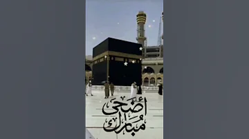 Ubyullah1208 Gmail Com 