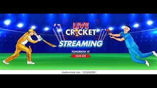 English World Cricket Championship Lt : 👍 Good stream | Playing Solo | Streaming with Turnip screenshot 5