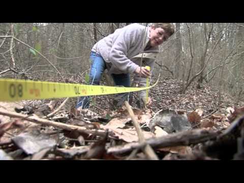 Grow With Wyre - The Wyre Forest Landscape Documen...