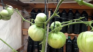 25.2.21 - Accident De Couvert