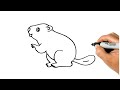 How to draw a beaver easy step by step