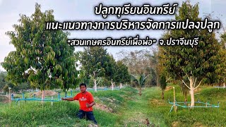 ปลูกทุเรียนอินทรีย์ แนะแนวทางการบริหารจัดการแปลงปลูก "สวนเกษตรอินทรีย์เพื่อพ่อ" จ.ปราจีนบุรี