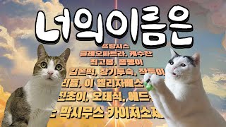 가장 많은 고양이 이름 2위는 레오! 과연 대망의 1위는? 2022년 고양이 빅데이터 완벽 정리! ‍⬛‍⬛