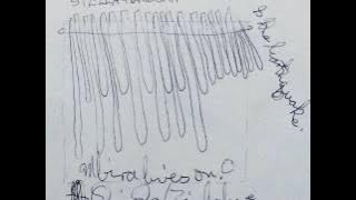 Stella Chiweshe - Nehondo