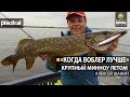 "Когда воблер лучше."  Крупный минноу летом.  Алексей Шанин. Anglers Practical