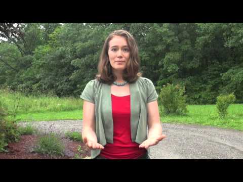 Flash Mob Instructions
