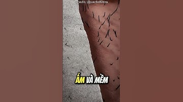 Vì Sao Bạn Nên Dùng Kem Cạo Râu 🤔 (Bắt Buộc)