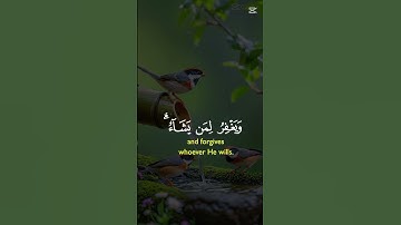 سورة المائدة الآية💙 40💙