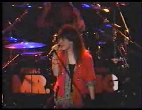Mr. Big - Blame It On My Youth