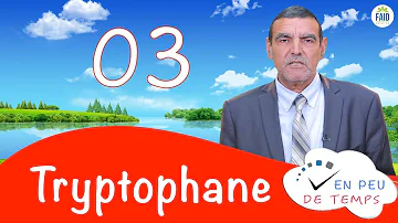 Est-ce que la sérotonine est un acide aminé ?