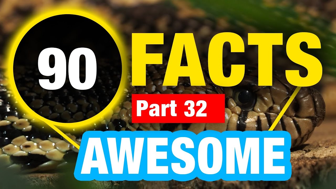 90 Random Amazing Weird Facts
