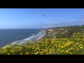 California Super Bloom Cliff View w/ Paragliding 🌼 🪂 🌊 Relaxing Ocean Sounds/ Nature Sounds