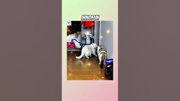 Tự Nhiên Đứng Sau Lưng Người