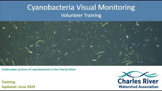 2025 Visual Cyanobacteria Monitoring Training