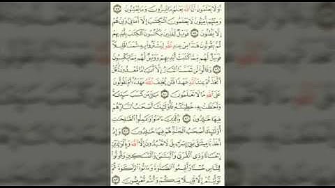 سورة البقره من الايه (٧٧)- إلى -(٨٨)