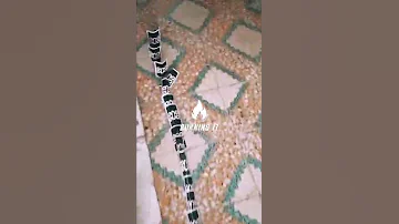 طب كروت UNO 