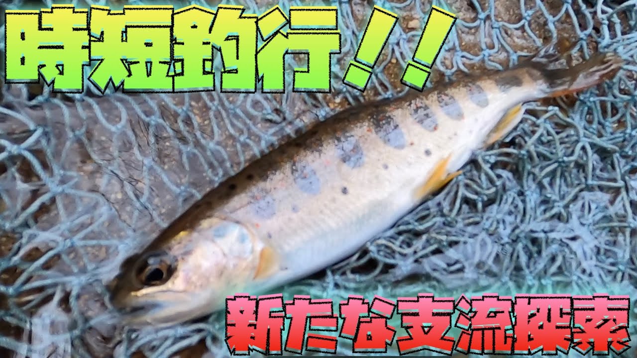 新たな支流を求めて Youtube