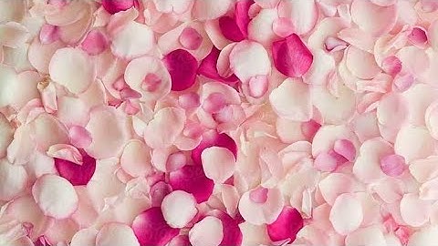 A beautiful voice, an unknown reader صوت جميل قارئ مجهول