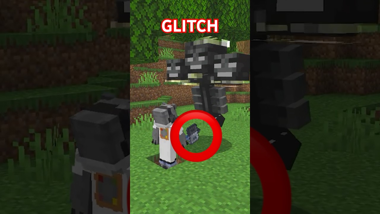 Encontraron un GLITCH en el MAZO