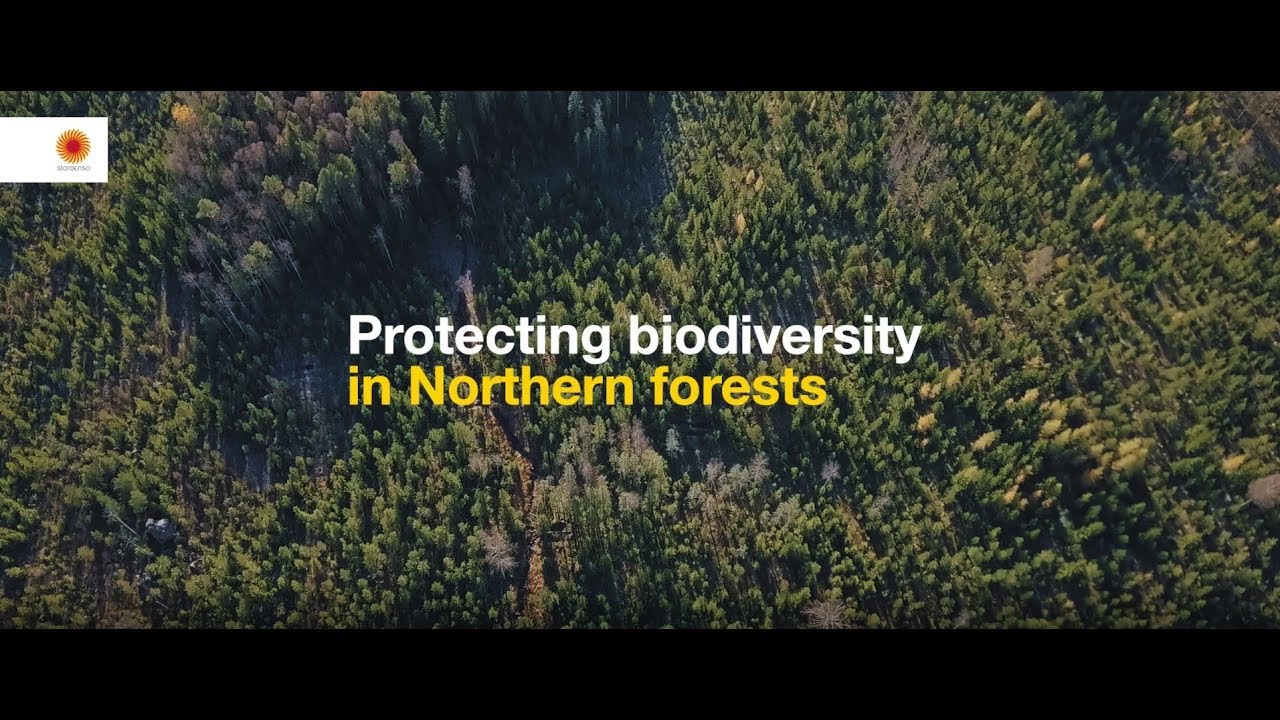 Protecting biodiversity in Northern Forests