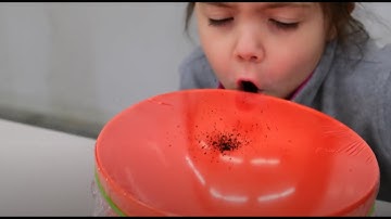 How to SEE sound! | STEM Activity