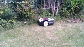 お疲れ芝ちゃん1号、おうちに帰りお休みします。