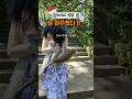 원숭이랑 눈 마주치면 생기는 일…ㅋㅋㅋㅋㅋ(눈은 꼭 피하세요ㅠㅠ)